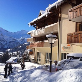 Skihotel: Aussenansicht Winter 2 - Hotel Steinmattli