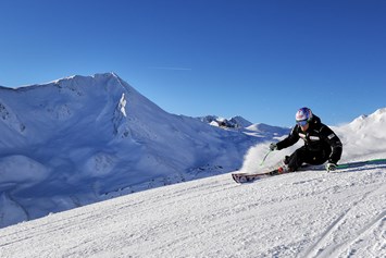 Skihotel: Silvretta Ski Arena  - Hotel Edi