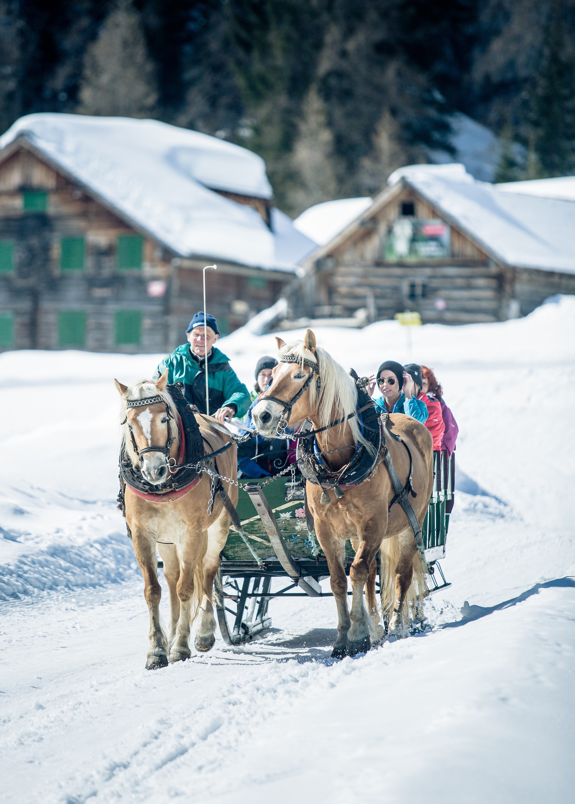 Hotel Panorama Ausflugsziele Gnadenalm