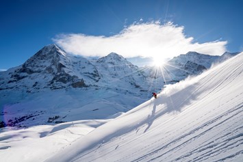 Skihotel: Kl. Scheidegg mit Nordwand - Aspen Alpin Lifestyle Hotel Grindelwald