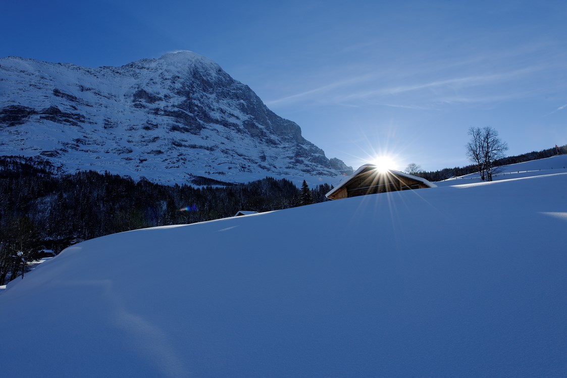 Skihotel: Eiger Nordwand im Winter - Aspen Alpin Lifestyle Hotel Grindelwald