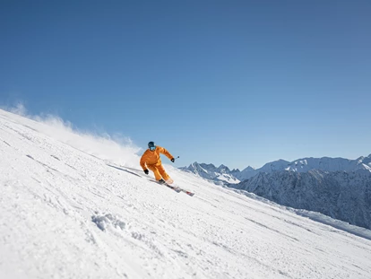 Hotels an der Piste - Mellau - Hotel Naturhof Stillachtal
