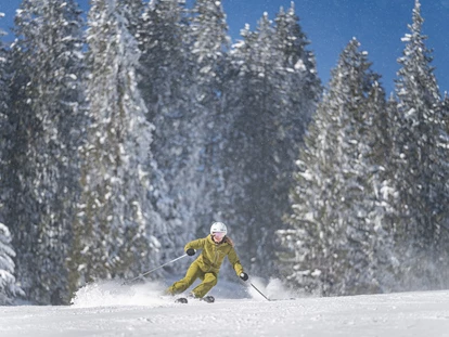 Hotels an der Piste - Mellau - Hotel Naturhof Stillachtal