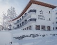 Skihotel: Hotel Strela***