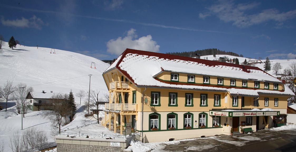 Skihotel: Vitalhotel Grüner Baum