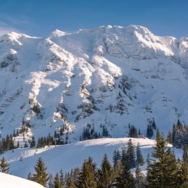 Skihotel: Skigebiet Oberjoch - Panorama Hotel Oberjoch