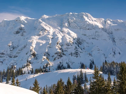Hotels an der Piste - barrierefrei - Skigebiet Oberjoch - Panoramahotel Oberjoch