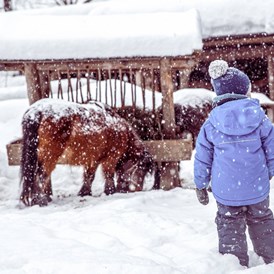 Skihotel: Pony Reiten am Streichelzoo direkt beim Hotel - Alpin Family Resort Seetal ****s