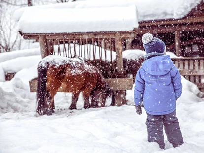 Hotels an der Piste - Verpflegung: Halbpension - Itter - Pony Reiten am Streichelzoo direkt beim Hotel - Alpin Family Resort Seetal ****s