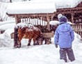 Skihotel: Pony Reiten am Streichelzoo direkt beim Hotel - Alpin Family Resort Seetal ****s