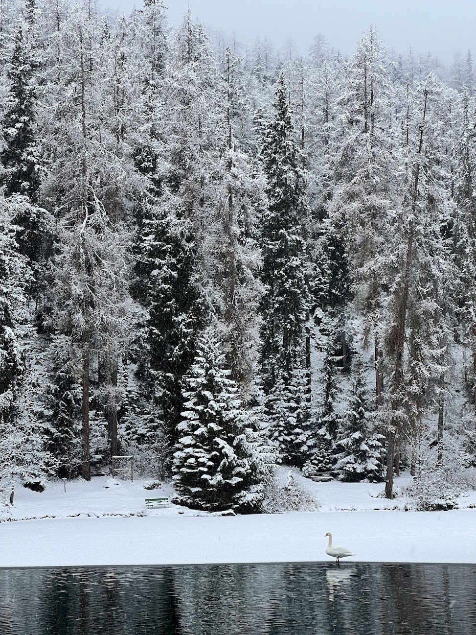 Skihotel: Hotel Lech da Sompunt