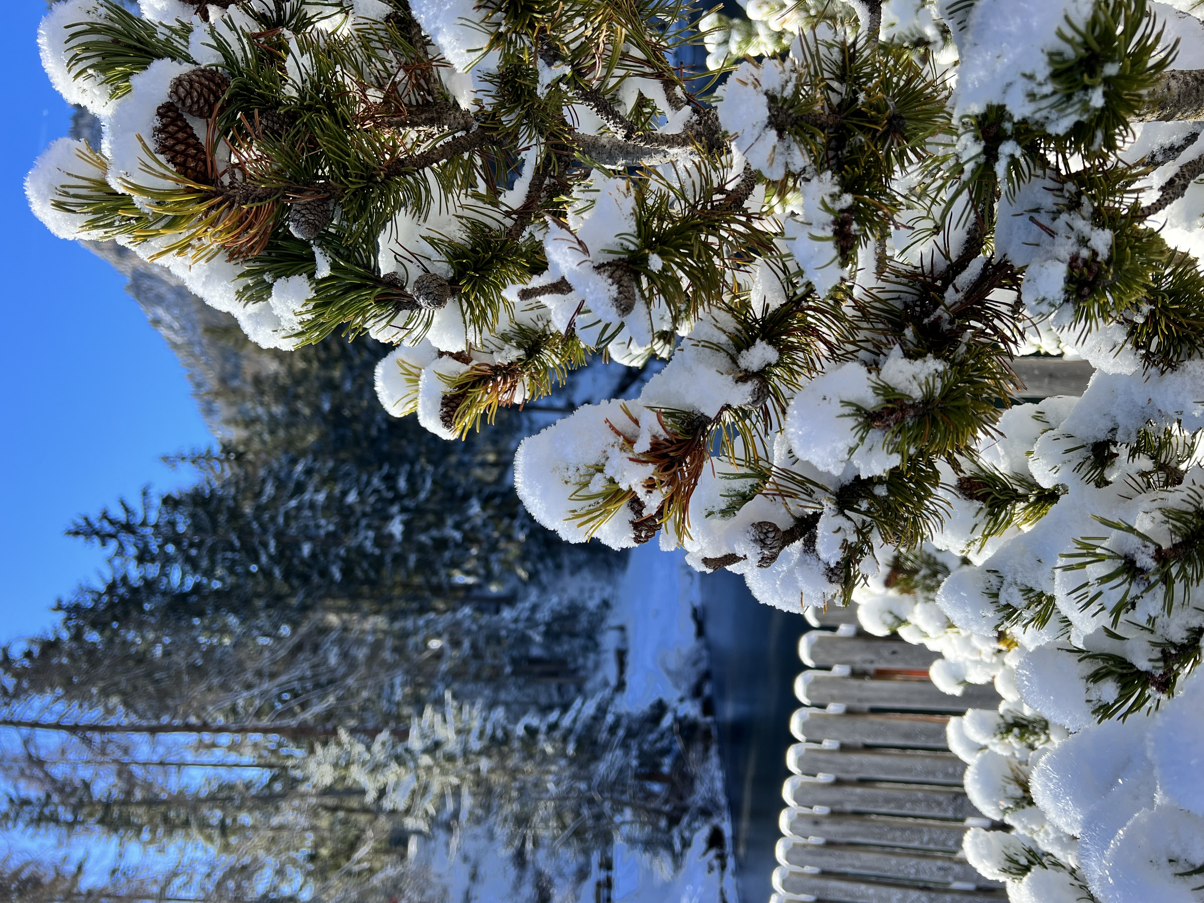 Skihotel: Hotel Lech da Sompunt