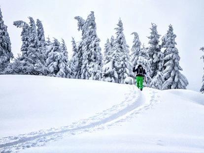 Hotels an der Piste - barrierefrei - Hideaway Hotel**** Montestyria Chalets & Suiten