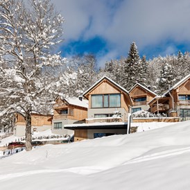 Skihotel: Hideaway Hotel Montestyria Chalets & Suiten