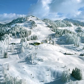Skihotel: Gernkogel - Skigebiet - Alpina Alpendorf