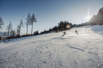 Skihotel: Skifahren auf den top präparierten Pisten unserer Skiberge. - Hotel Waldfrieden
