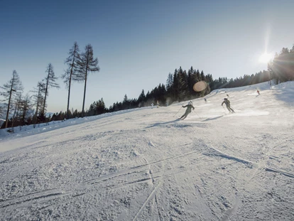 Hotels an der Piste - Skiverleih - Skifahren auf den top präparierten Pisten unserer Skiberge. - Hotel Waldfrieden