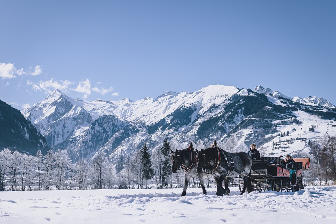 Skihotel: Pferdeschlittenfahrt durch die verschheite Alpenlandschaft - Hotel Sonnblick