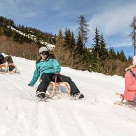 Skihotel: Rodeln Winter Snow Space Salzburg Ski Amadé - Harmls Aparthotel