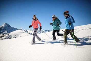 Skihotel: Schneeschuhwandern Flachau Salzburger Sportwelt - Harmls Aparthotel