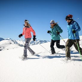 Skihotel: Schneeschuhwandern Flachau Salzburger Sportwelt - Harmls Aparthotel
