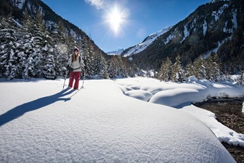 Skihotel: Schneeschuhwandern - Wander- & Wellnesshotel Gassner****s
