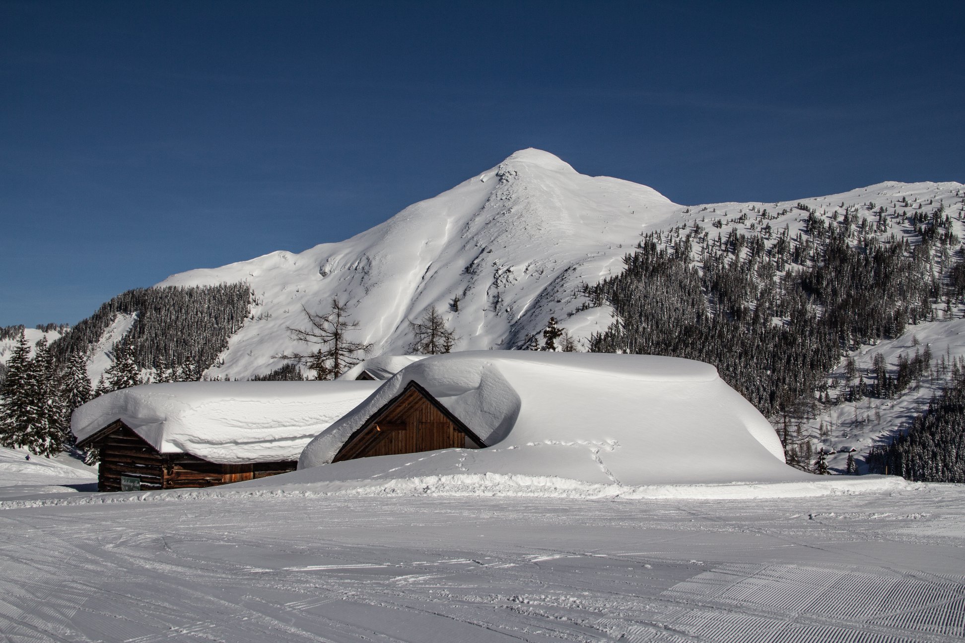 Skihotel: wir haben den Schnee - Hotel Alpenrose Zauchensee