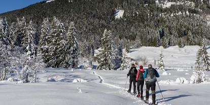Hotels an der Piste - Preisniveau: moderat - Unterthingau - BergBuddies