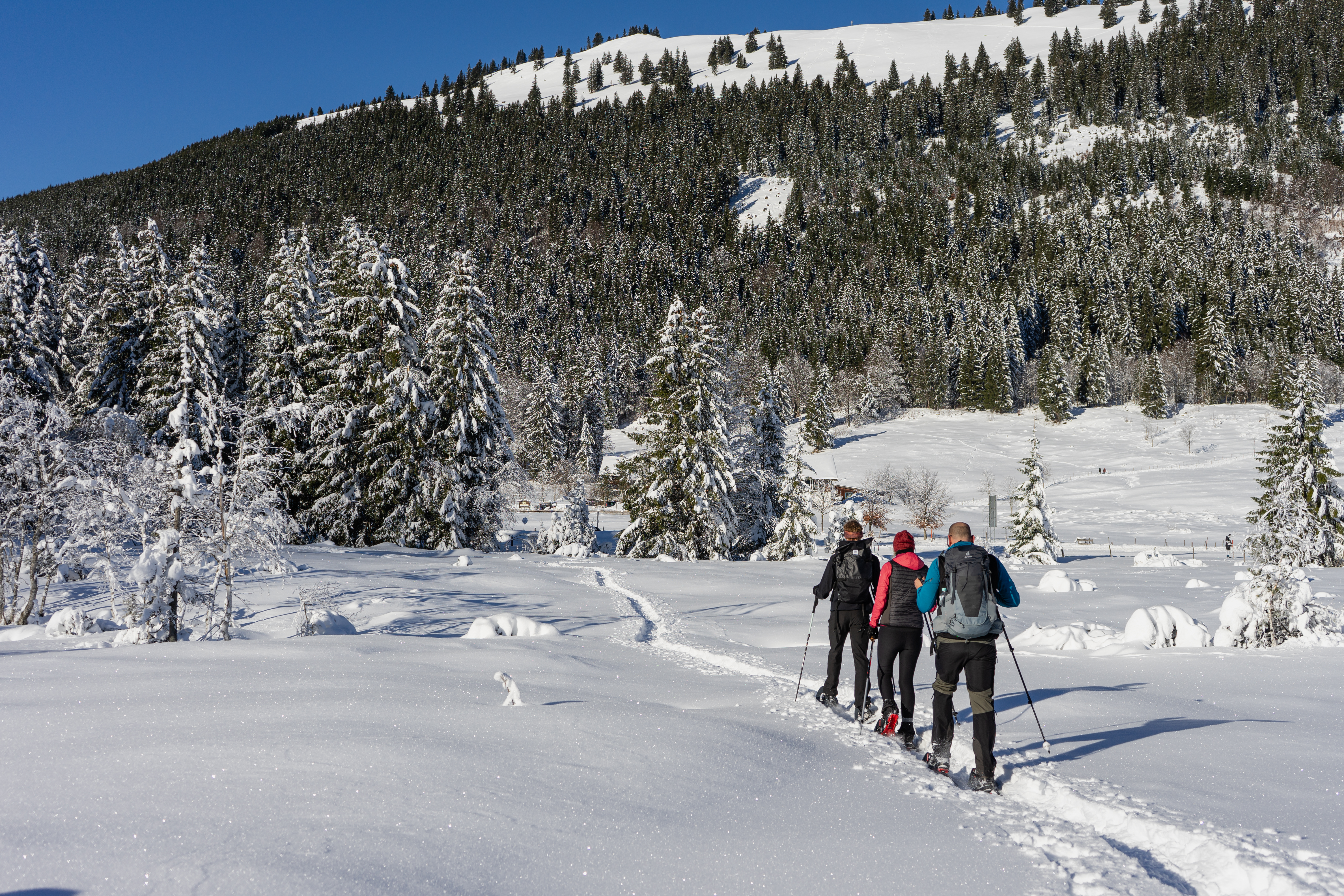 Hotels an der Piste - Deutschland - BergBuddies - Übernachtung inklusive kostenlosen Bergbahntickets und vielem mehr