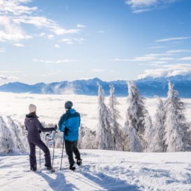 Skihotel: Schneeschuhwandern - Mountain Resort Feuerberg