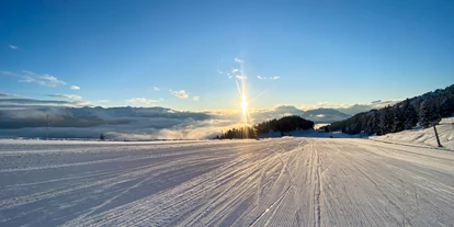 Hotels an der Piste - Skiraum: vorhanden - Rohrberg (Rohrberg) - Skipiste Wachterhof - Chalets & Apartments Wachterhof
