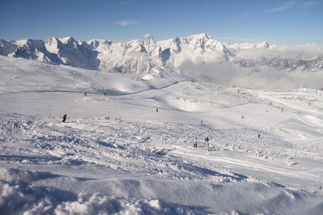 Skihotel: Skipisten mit Berg-Panorama - Berghof Sturmgut