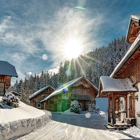 Skihotel: Hotel Jagdhaus - Almwelt Austria