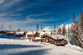 Skihotel: Apres Ski Herzerl Alm - Almwelt Austria