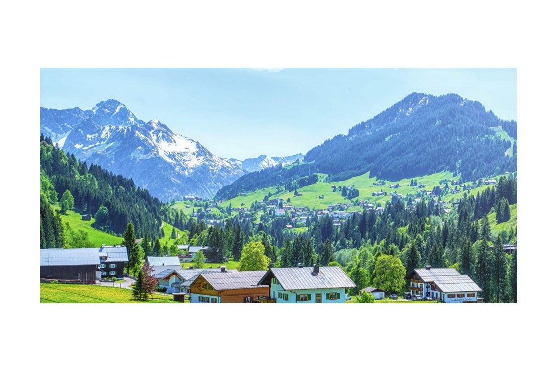Skihotel: Blick von unserer Terrasse taleinwärts im Sommer - Almhof Rupp - das Genießerhotel
