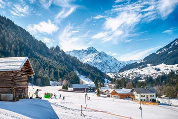 Skihotel: Aussicht von unserer südseitigen Terrasse im Winter - Der Almhof - das Genießerhotel