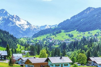Skihotel: Blick von unserer Terrasse taleinwärts im Sommer - Der Almhof - das Genießerhotel