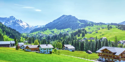 Hotels an der Piste - Mellau - Blick vom Zimmerbalkon und der Terrasse Richtung Süden  - Ski- und Aktivhotel Almhof Rupp