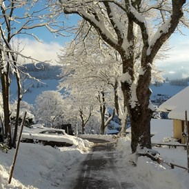 Skihotel: Auffahrt Hornweg zur Panorama Lodge Sonnenalm - Panorama Lodge Sonnenalm Hochschwarzwald