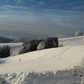 Skihotel: Blick Richtung Alpen mit dem Bucklift im Vordergrund  - Panorama Lodge Sonnenalm Hochschwarzwald
