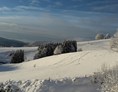 Skihotel: Blick Richtung Alpen mit dem Bucklift im Vordergrund  - Panorama Lodge Sonnenalm Hochschwarzwald