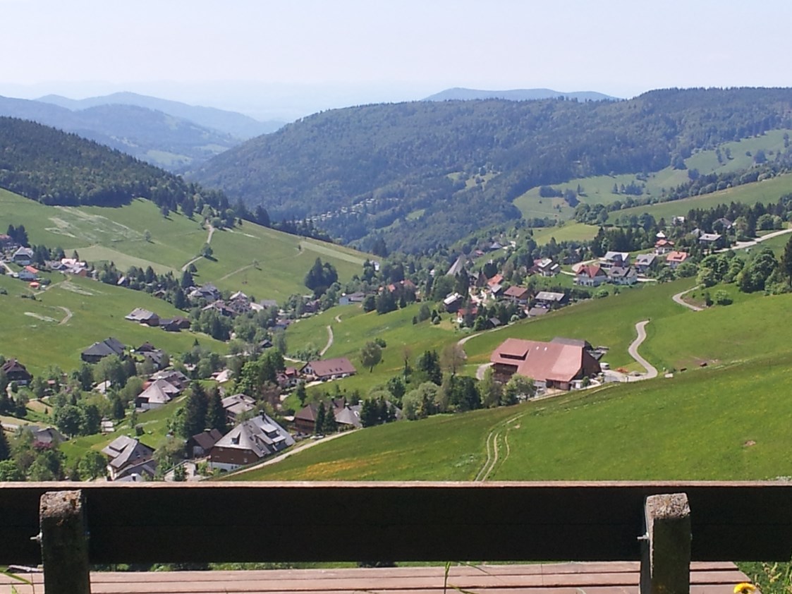 Skihotel: Vom Heidegger Rundweg mit Blick nach Todtnauberg  - Panorama Lodge Sonnenalm Hochschwarzwald