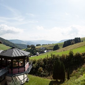 Skihotel: Panorama Lodge Sonnenalm im Sommer - Panorama Lodge Sonnenalm Hochschwarzwald