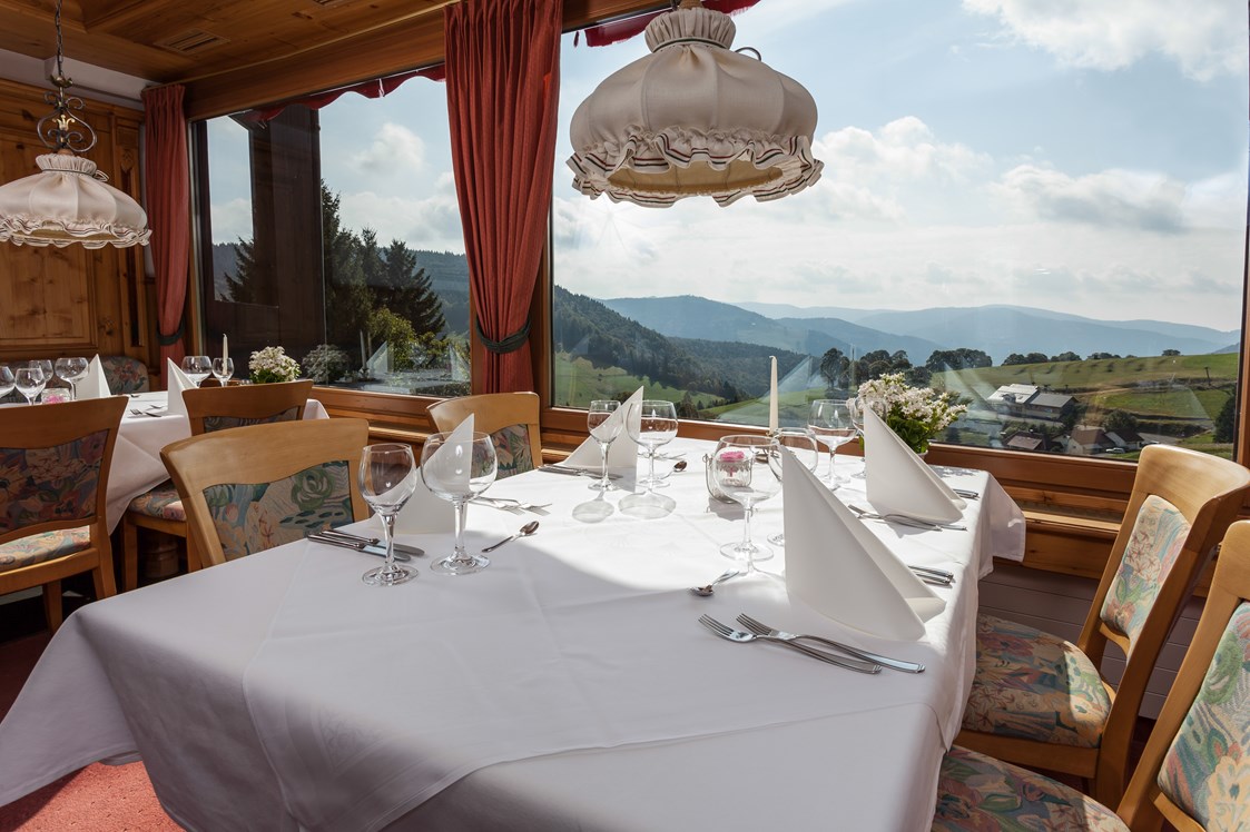 Skihotel: Blick aus Frühstücksraum zum Hasenhorn und den Alpen - Panorama Lodge Sonnenalm Hochschwarzwald