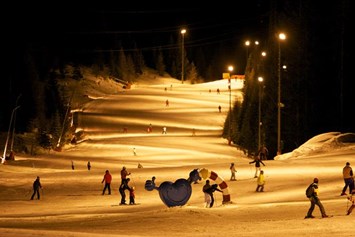 Skihotel: Nachtskilauf Königswiese - Aparthotel Hutter