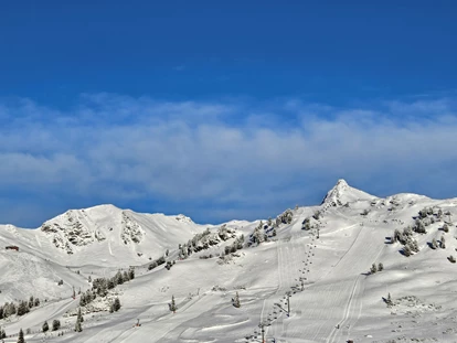 Hotels an der Piste - Skiverleih - Aparthotel Bernhof