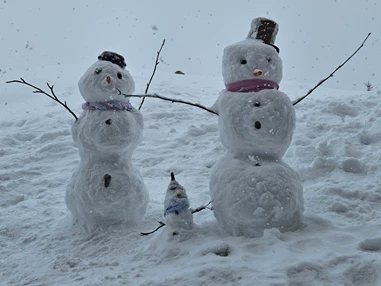 Skihotel: Aparthotel Bernhof