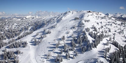 Hotels an der Piste - Mallnitz - B&B Hotel Das Diellehen