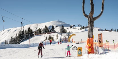 Hotels an der Piste - Mallnitz - B&B Hotel Das Diellehen