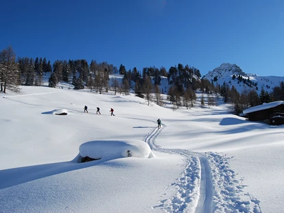 Hotels an der Piste - Mallnitz - Hotel Johanneshof GmbH